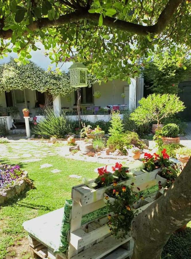 Apartments Meri Zadar Ngoại thất bức ảnh